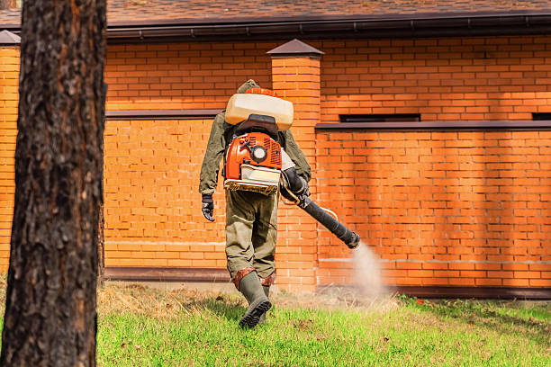 Top rated local Ant Control specialists in Malvern, OH